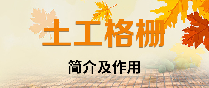 ź(jin)鼰(yng)
